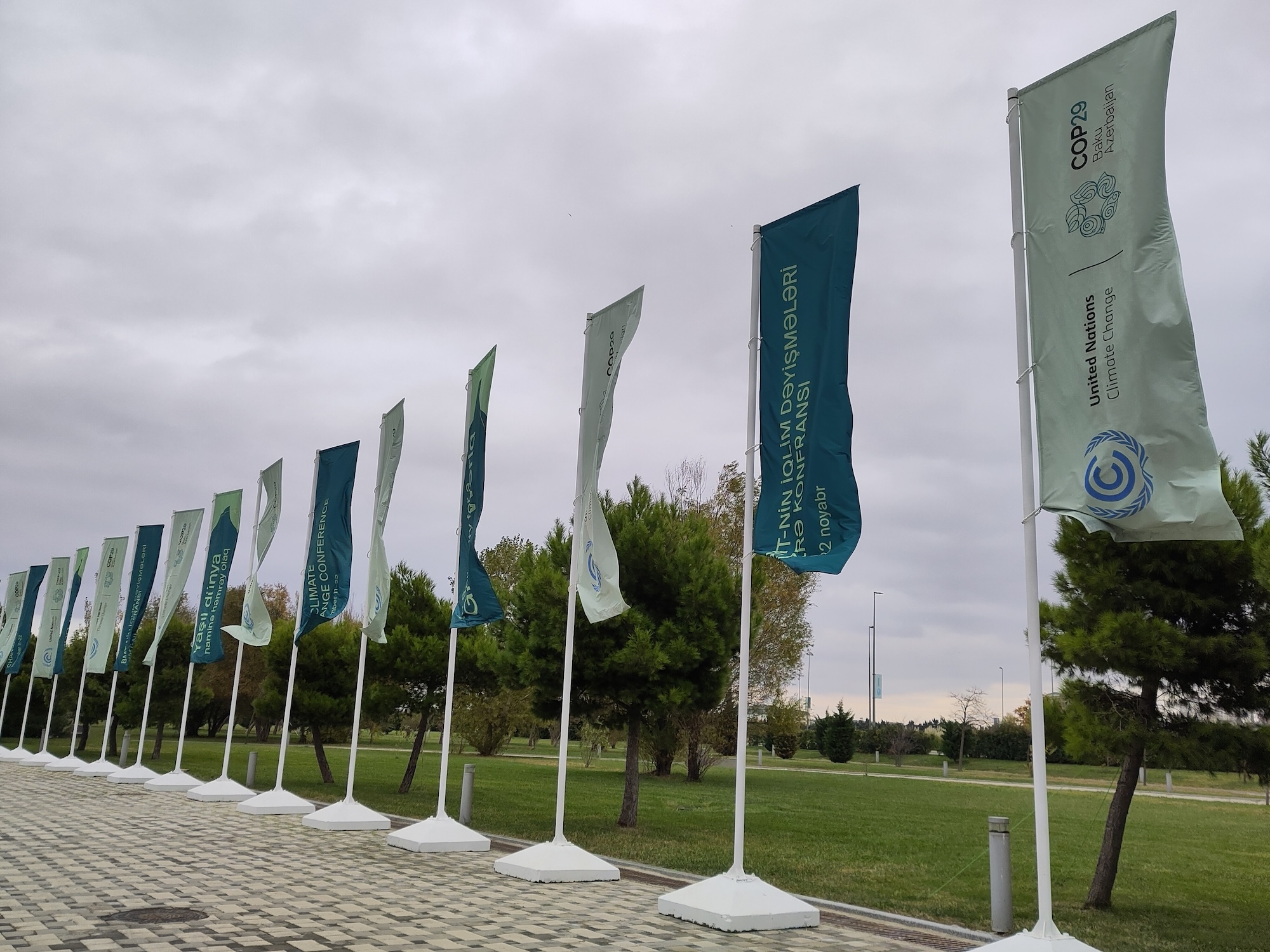 COP 29 Flags