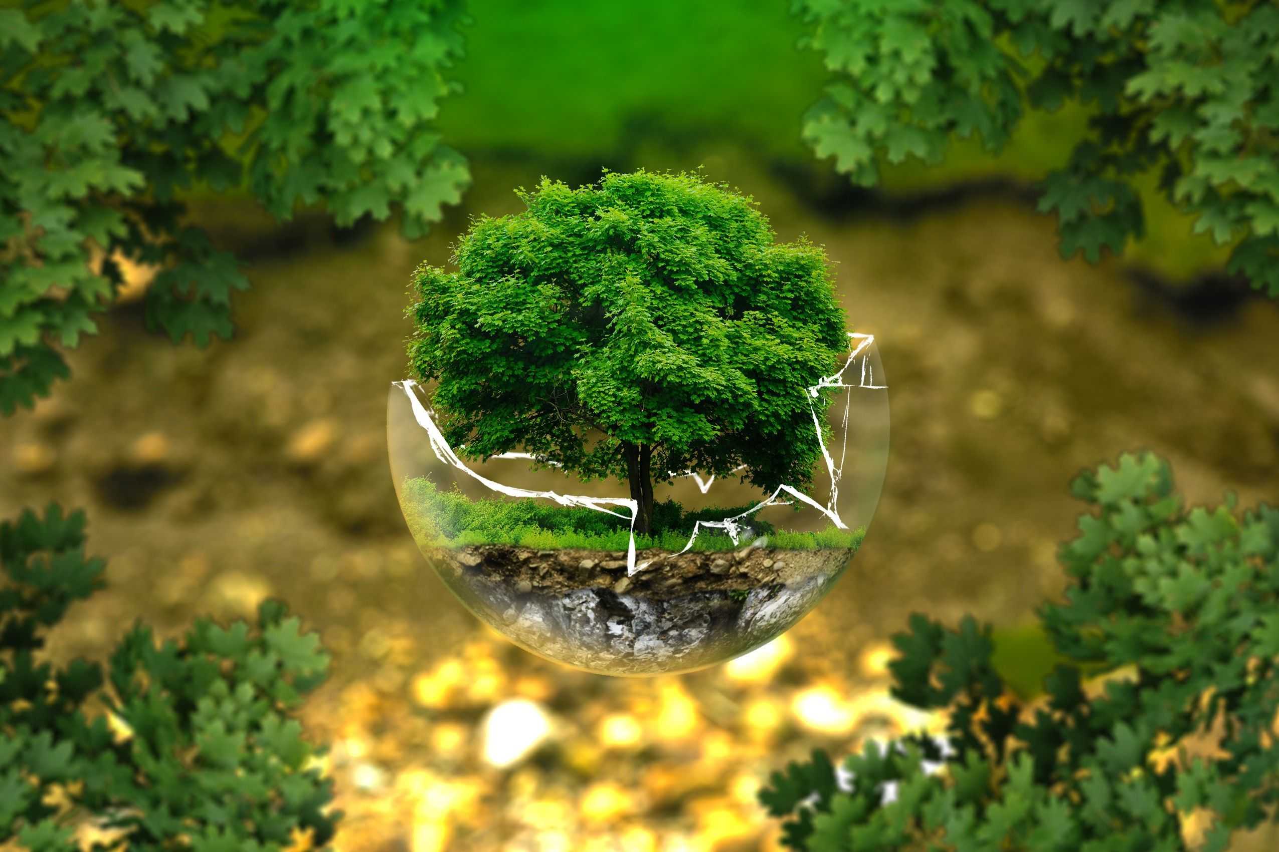 andreasaux-environmental-protection-326923.jpg