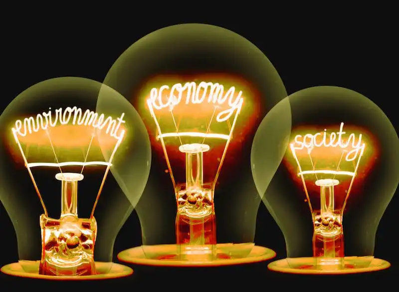 Three lightbulbs with filaments indicating environment, economy, and society