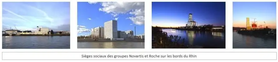 Sièges sociaux des groupes Novartis et Roche sur les bords du Rhin, Crédits photos : Elise Robaglia