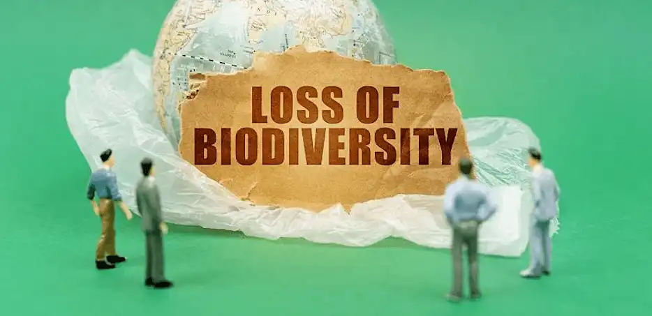 Loss of Biodiversity