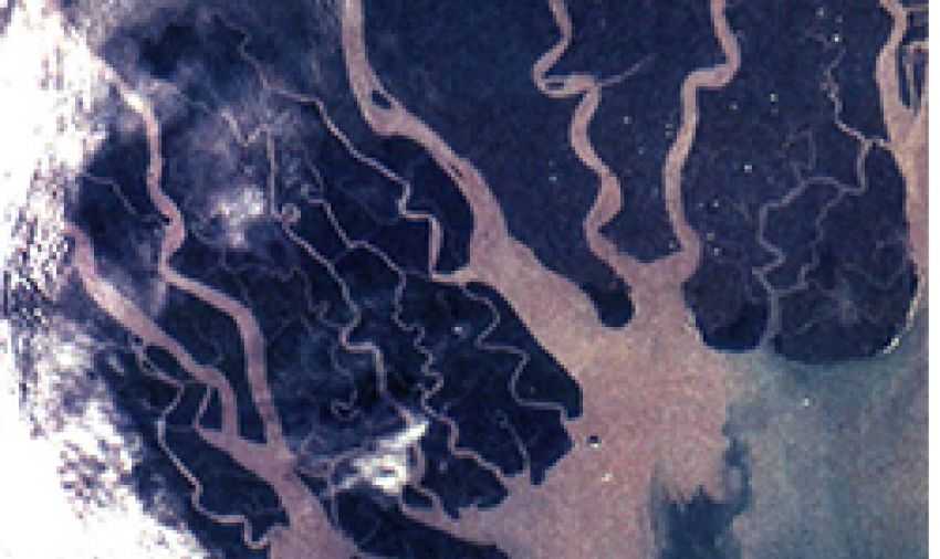 InDiPop — Diaspora Politics and the International Mainstreaming of National Populism